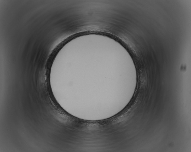 X0000089401070200707131735