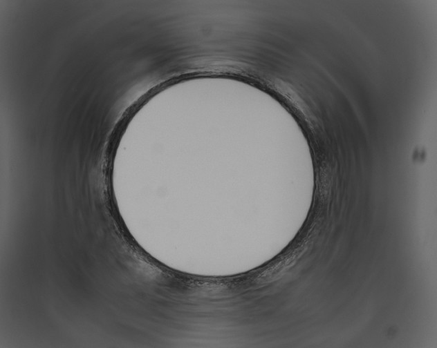 X0000089401071200707131735
