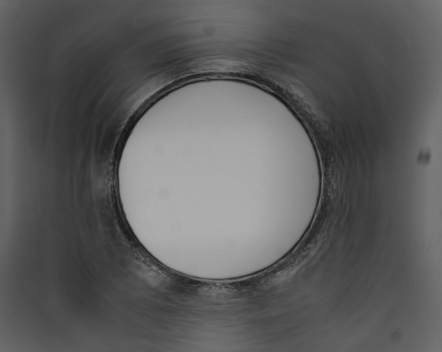 X0000089401073200707131735