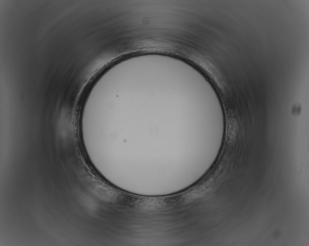 X0000089401074200707131735
