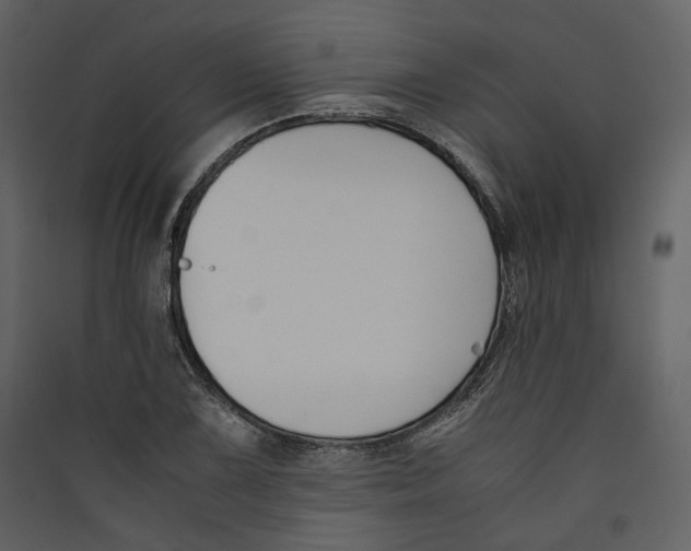 X0000089401075200707131735