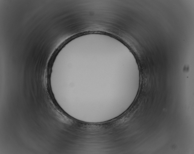 X0000089401076200707131735