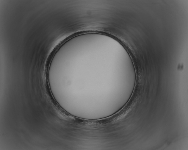 X0000089401077200707131735
