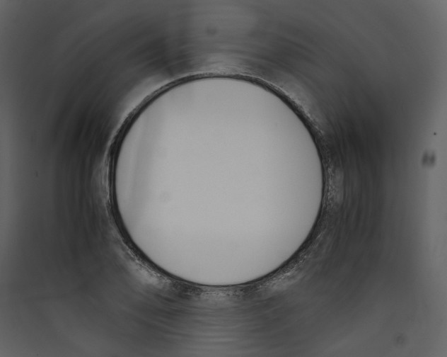 X0000089401078200707131735