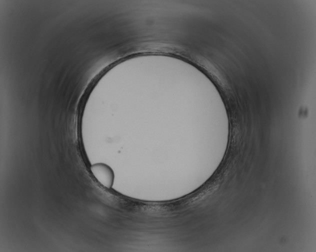 X0000089401079200707131735