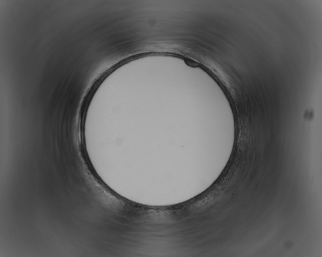 X0000089401080200707131735