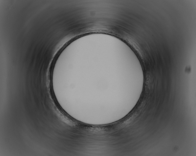 X0000089401082200707131735