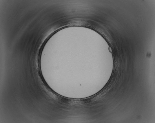 X0000089401083200707131735