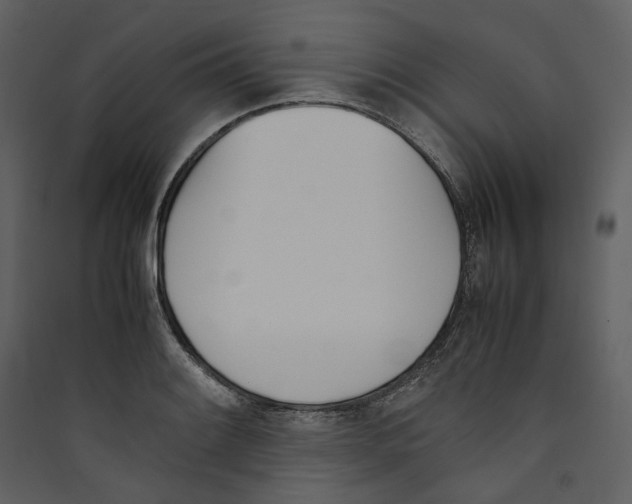 X0000089401084200707131735