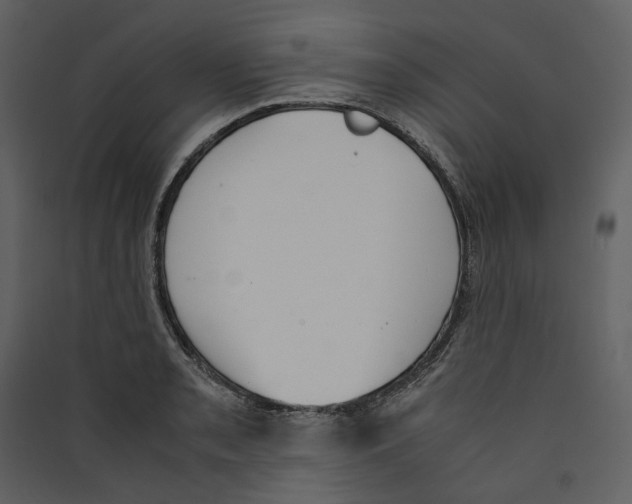 X0000089401085200707131735
