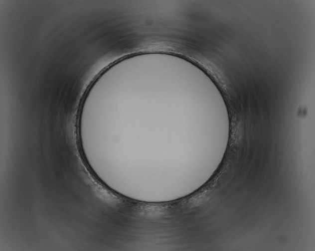 X0000089401086200707131735
