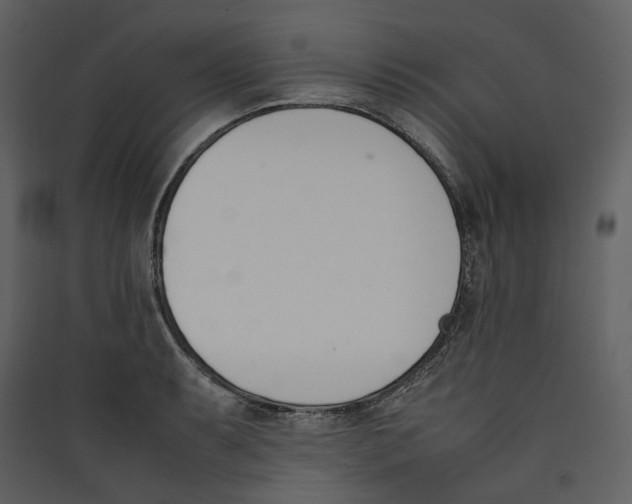 X0000089401087200707131735