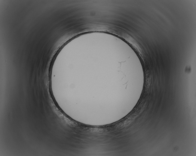 X0000089401088200707131735