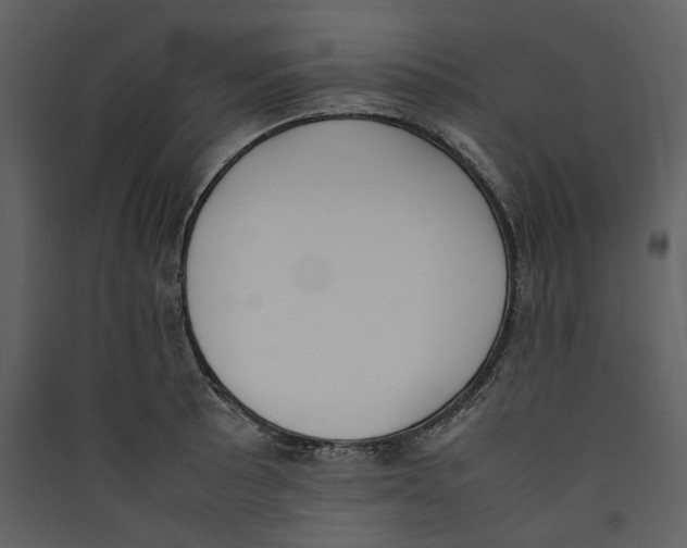 X0000089401089200707131735