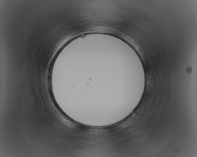 X0000089401091200707131735