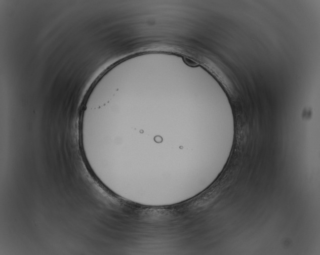 X0000089401092200707131735