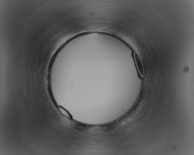 X0000089401093200707131735