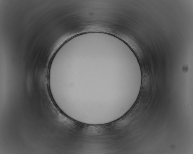 X0000089401094200707131735