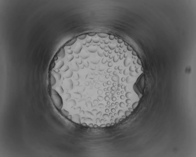 X0000089401095200707131735