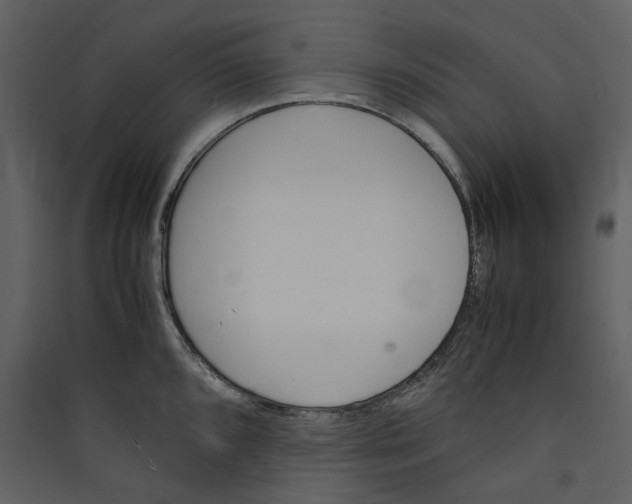 X0000089401096200707131735