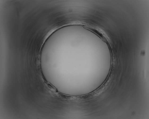 X0000089401097200707131735