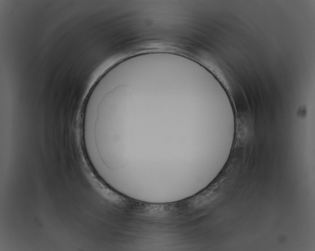 X0000089401098200707131735