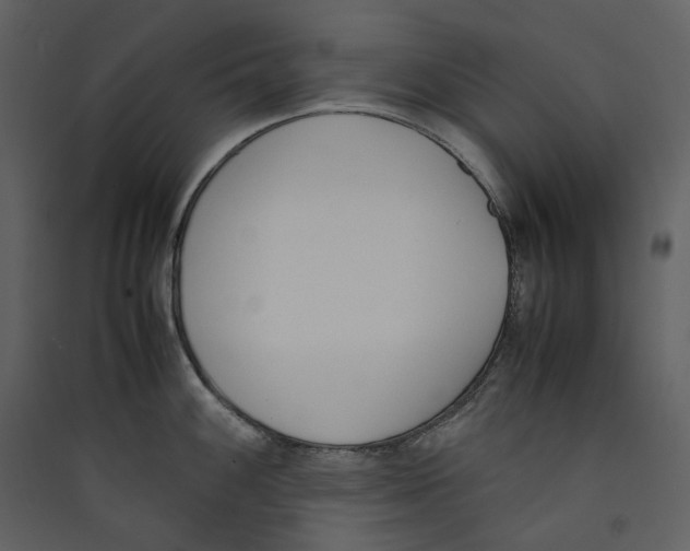 X0000089401100200707131735