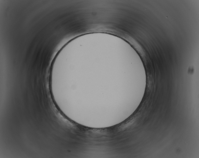 X0000089401102200707131735
