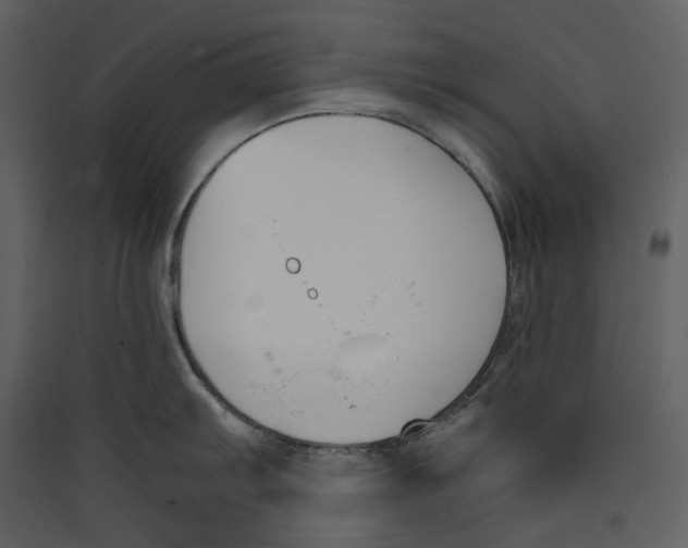 X0000089401103200707131735