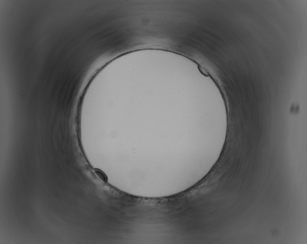 X0000089401104200707131735