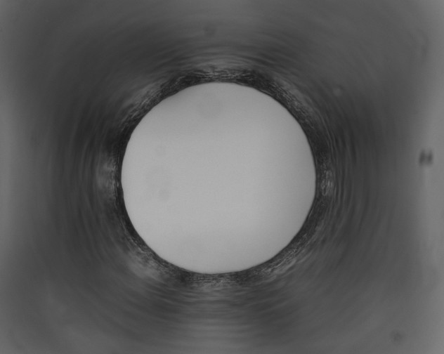 X0000089401108200707131734