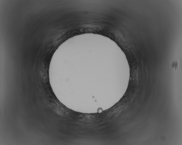 X0000089401109200707131734