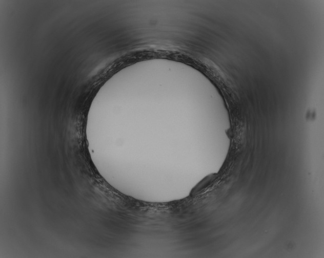 X0000089401110200707131734