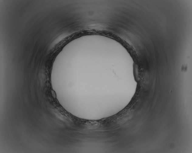 X0000089401112200707131734