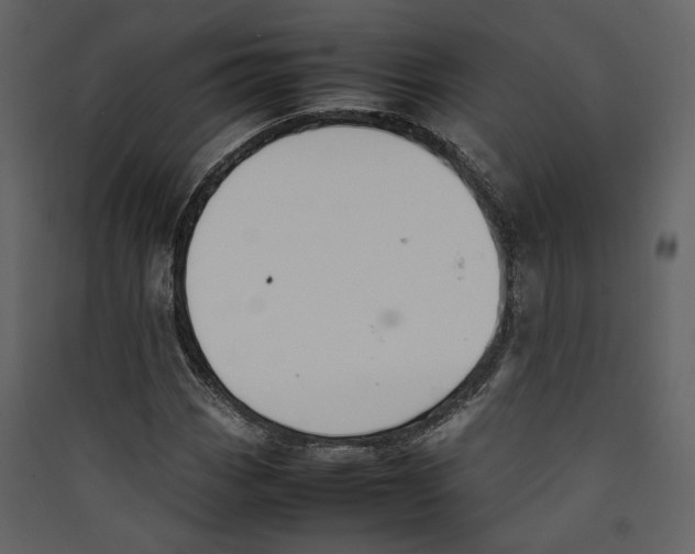 X0000089401113200707131734