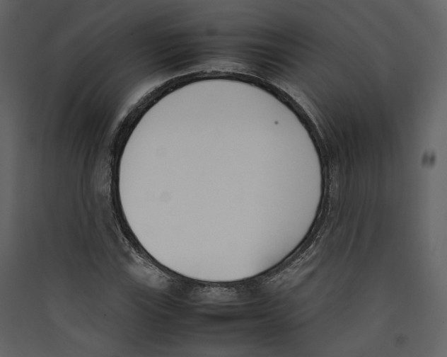 X0000089401115200707131734