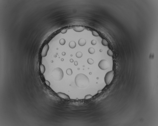 X0000089401117200707131734