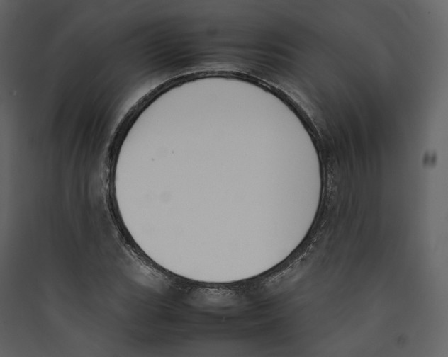 X0000089401119200707131734