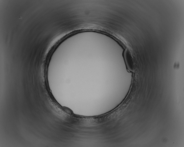 X0000089401120200707131734
