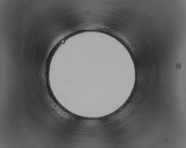 X0000089401122200707131734