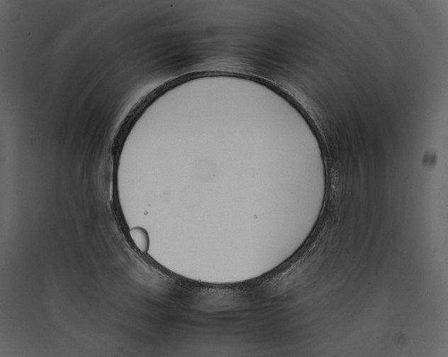 X0000089401123200707131734