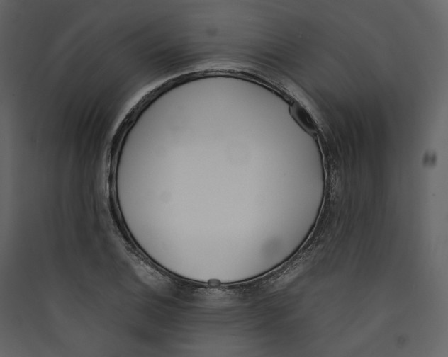 X0000089401124200707131734
