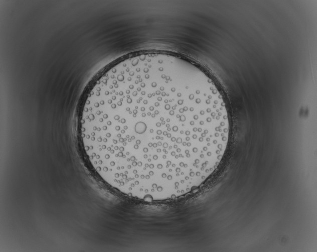 X0000089401125200707131734