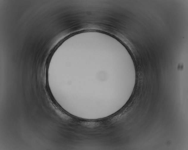 X0000089401127200707131734