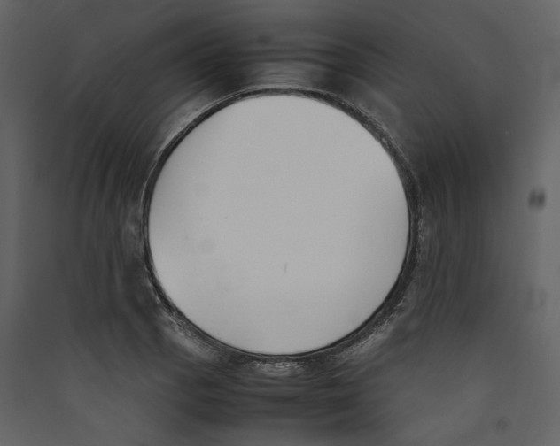 X0000089401129200707131734