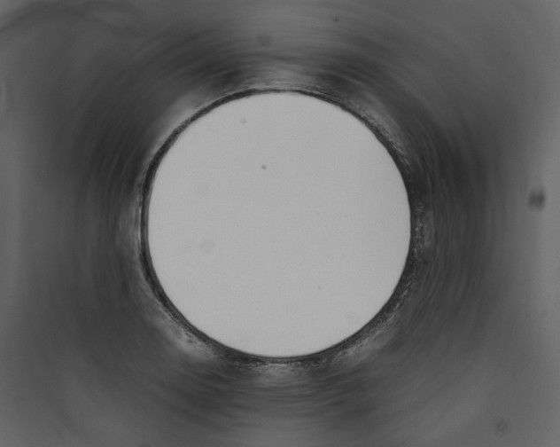 X0000089401130200707131734