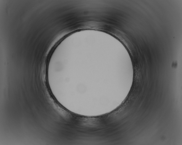 X0000089401131200707131734