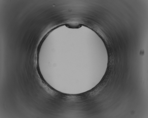 X0000089401132200707131734