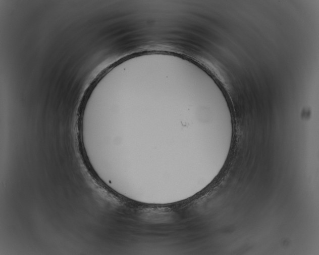 X0000089401133200707131734