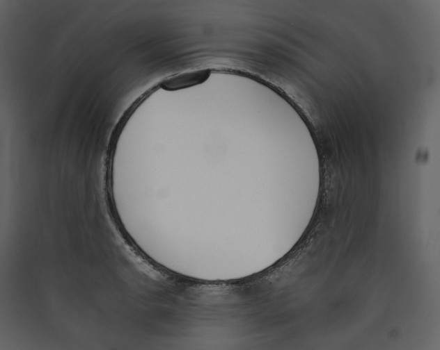 X0000089401134200707131734